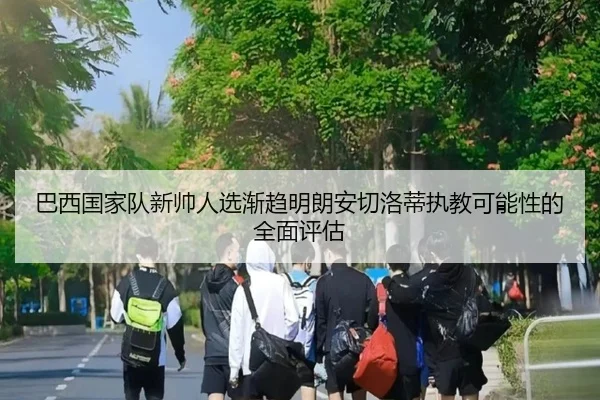 巴西国家队新帅人选渐趋明朗安切洛蒂执教可能性的全面评估