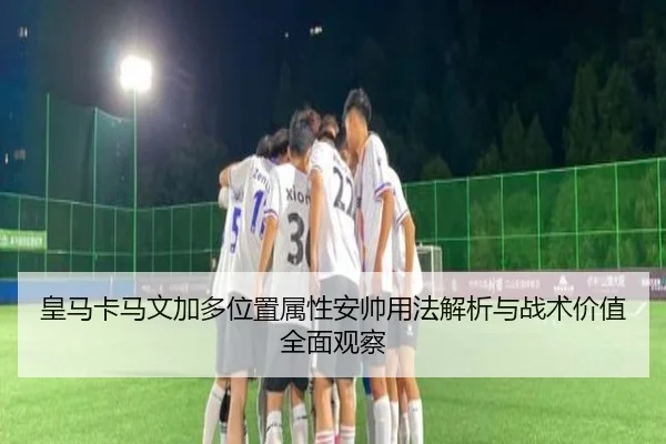 皇马卡马文加多位置属性安帅用法解析与战术价值全面观察