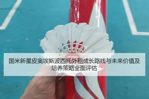 国米新星皮奥埃斯波西托外租成长路线与未来价值及培养策略全面评估